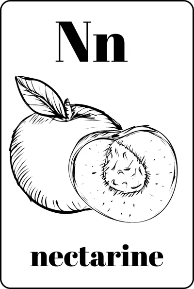 A whole nectarine with a leaf beside a halved one showing the stone, between Nn and the word nectarine.
