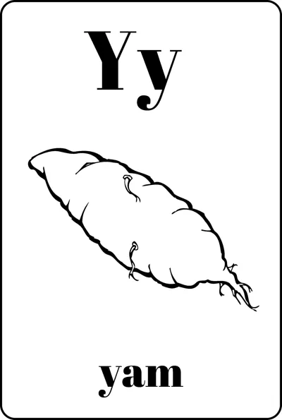 A long knobbly yam root between the letters Yy and the word yam.