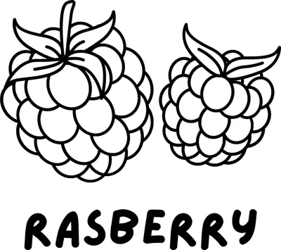 Two bumpy raspberries with leafy caps above the word RASBERRY in bold capitals.