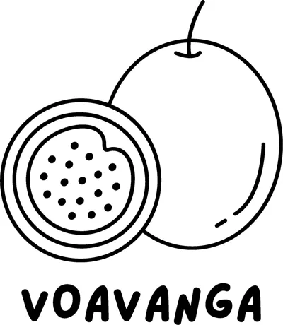 A round voavanga beside a cut half with seeds, above the word VOAVANGA in bold capitals.
