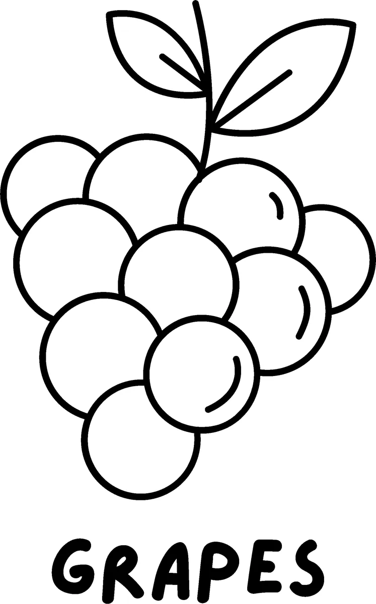A bunch of round grapes with two leaves above the word GRAPES in bold capitals.