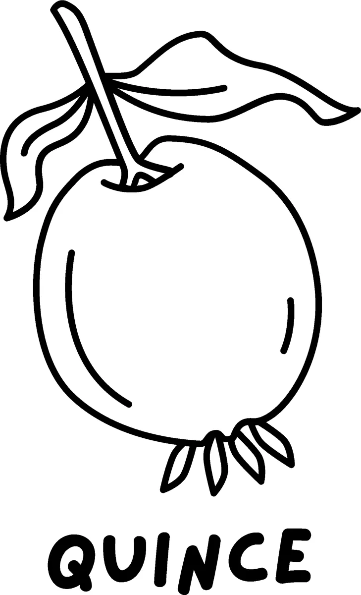 A round quince on a stem with a leaf above the word QUINCE in bold capitals.