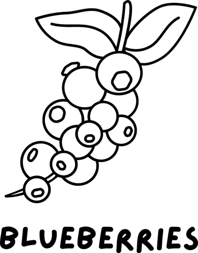 A sprig of blueberries with two leaves above the word BLUEBERRIES in bold capitals.