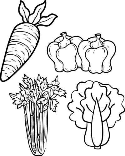 A carrot, two bell peppers, a bunch of celery and a head of lettuce on one page.