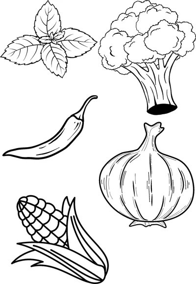 Basil leaves, broccoli, a chili pepper, a garlic bulb and an ear of corn on one page.