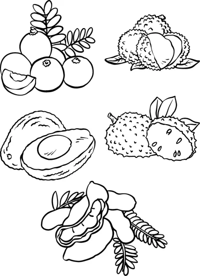 Lychees, berries, a halved avocado, a bumpy fruit and tamarind pods on one page.