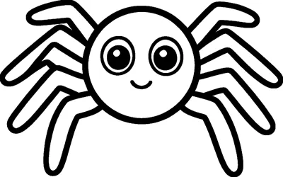 A round smiling spider with big eyes and eight long curved legs, four on each side.