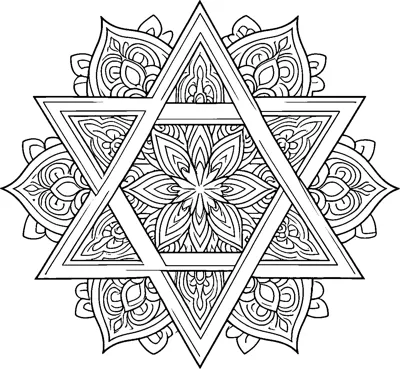 A six-pointed Star of David with a flower in its centre and patterned petals around the outside.