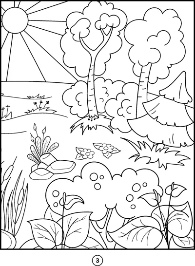 A sunny forest clearing with leafy trees, flowering bushes, rocks and plants in the foreground.