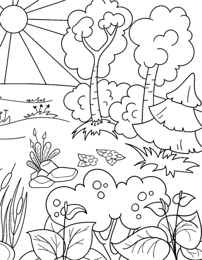 A sunny forest clearing with leafy trees, flowering bushes, rocks and plants in the foreground.
