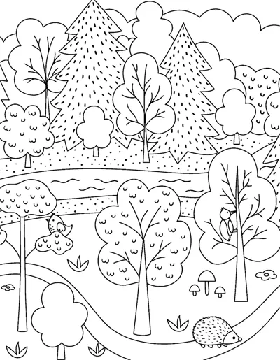 A winding path passes many round and pine trees, with a hedgehog and mushrooms near the front.