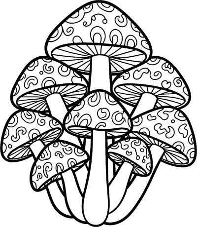 A tall cluster of mushrooms with swirl-patterned caps, fine gill lines and long overlapping stems.