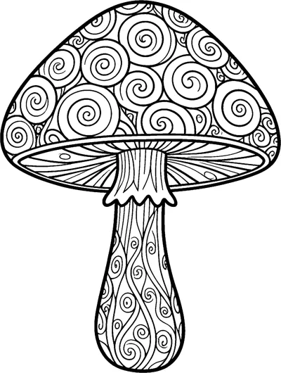 A large mushroom with a cap packed with spiral swirls, a frilly ring and a tall patterned stem.