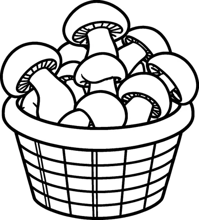 A woven basket overflowing with picked mushrooms, showing their round caps, thick stems and gills underneath.