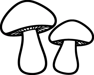 Two simple mushrooms stand side by side, one taller and one shorter, each with a rounded cap and a thick stem.
