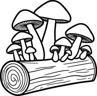 A group of mushrooms in different sizes grows along the top of a fallen log with bark lines and tree rings.