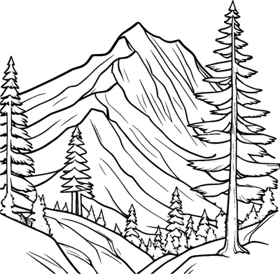 A rugged mountain peak with ridges rises behind a slope of tall pine trees.