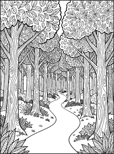 A winding path leads deep into a forest of tall trees with leafy canopies, ferns and grass at the edges.