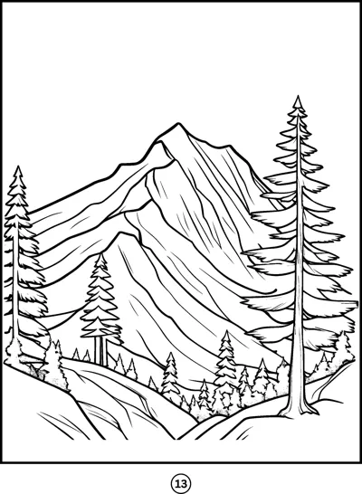 A rugged mountain peak with ridges rises behind a slope of tall pine trees.