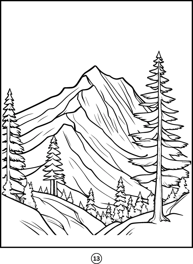 A rugged mountain peak with ridges rises behind a slope of tall pine trees.