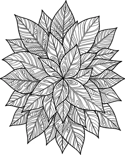 Pointed leaves of different sizes overlap in a round rosette, each filled with veins, stripes and small swirls.