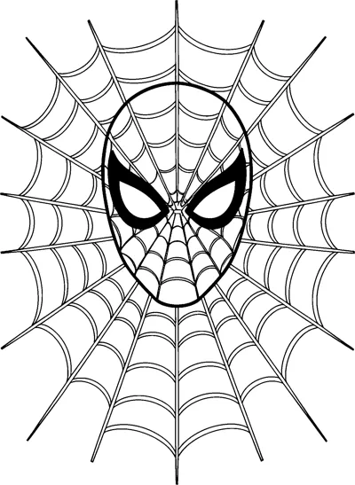 Spider-Man's masked face in the centre of a large, symmetrical spider web with many curved threads spreading out to the edges.