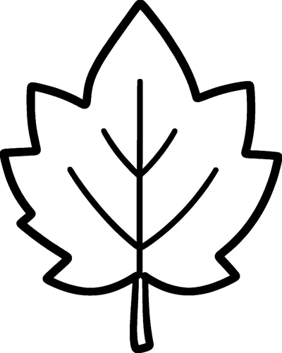 One large pointed autumn leaf with a few simple veins and a short stem.