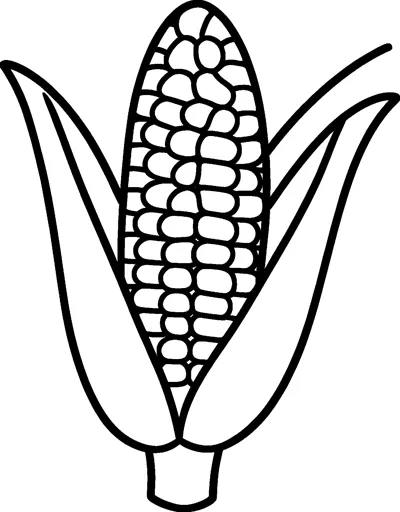 A single corn cob with rows of rounded kernels peeks out between two long husk leaves above a short stalk.