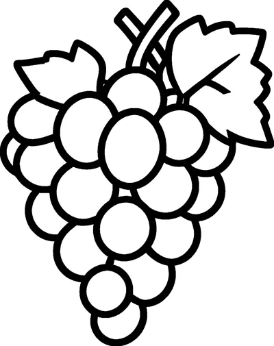 A bunch of round grapes hangs from a forked stem between two jagged vine leaves.