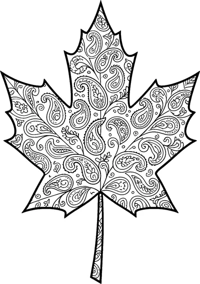 A large maple leaf with a central stem and veins, completely filled with paisley shapes, flowers and dots.