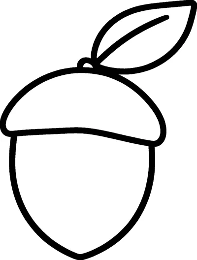 A big acorn with a rounded cap and a short stem, with one leaf sticking out from the top.