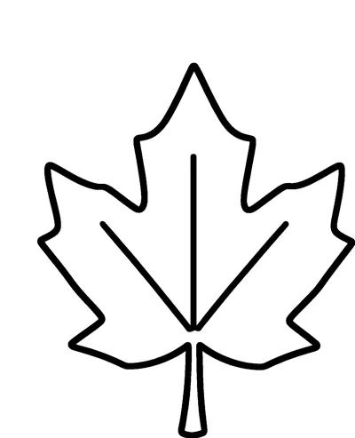 A big maple leaf with pointed lobes, a short stem and three straight veins spreading from the base.