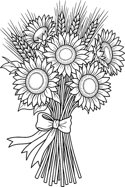 A bouquet of large sunflowers and wheat ears with long stems is tied together with a ribbon bow.