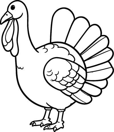 A standing turkey with a long wattle and a large fan of empty tail feathers.