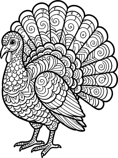 A turkey stands side on with a big fanned tail full of swirls, and scalloped zentangle patterns all over its body.
