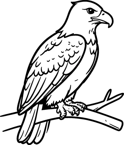 A bald eagle with a hooked beak and folded wings perches on a thick bare branch.