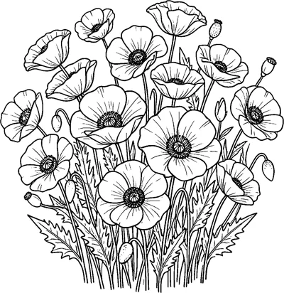 A rounded cluster of open poppies, closed buds and seed pods grows above jagged leaves.