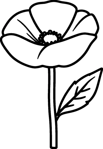 A large poppy flower with four petals, a round centre, a straight stem and one pointed leaf.