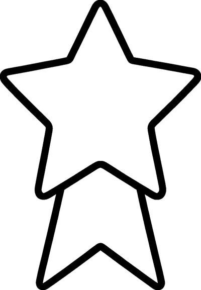 A big five-pointed star medal sits on top of a short ribbon with a notched end.