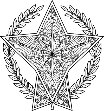 A large star filled with swirls and wavy stripes, framed by two curved laurel branches.