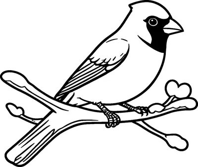 A crested cardinal bird with a small black face mask perched on a branch topped with snow.