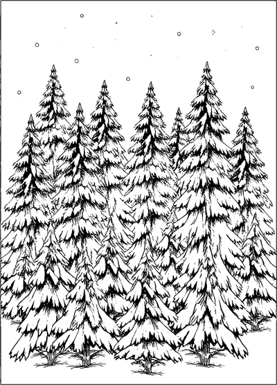 A dense forest of tall pine trees heavy with snow under a lightly snowing sky.