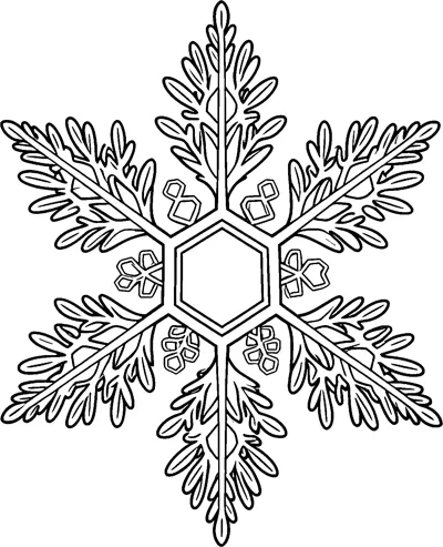 A large six-armed snowflake crystal with feathered branches around a hexagon centre and tiny plate crystals between the arms.