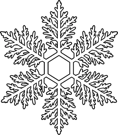 A six-armed snowflake with fern-like branches on every arm, drawn in fine outlines around a small hexagon.