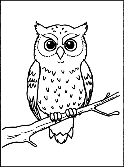 A snowy owl with round eyes and speckled feathers sitting on a bare branch, inside a thin frame.
